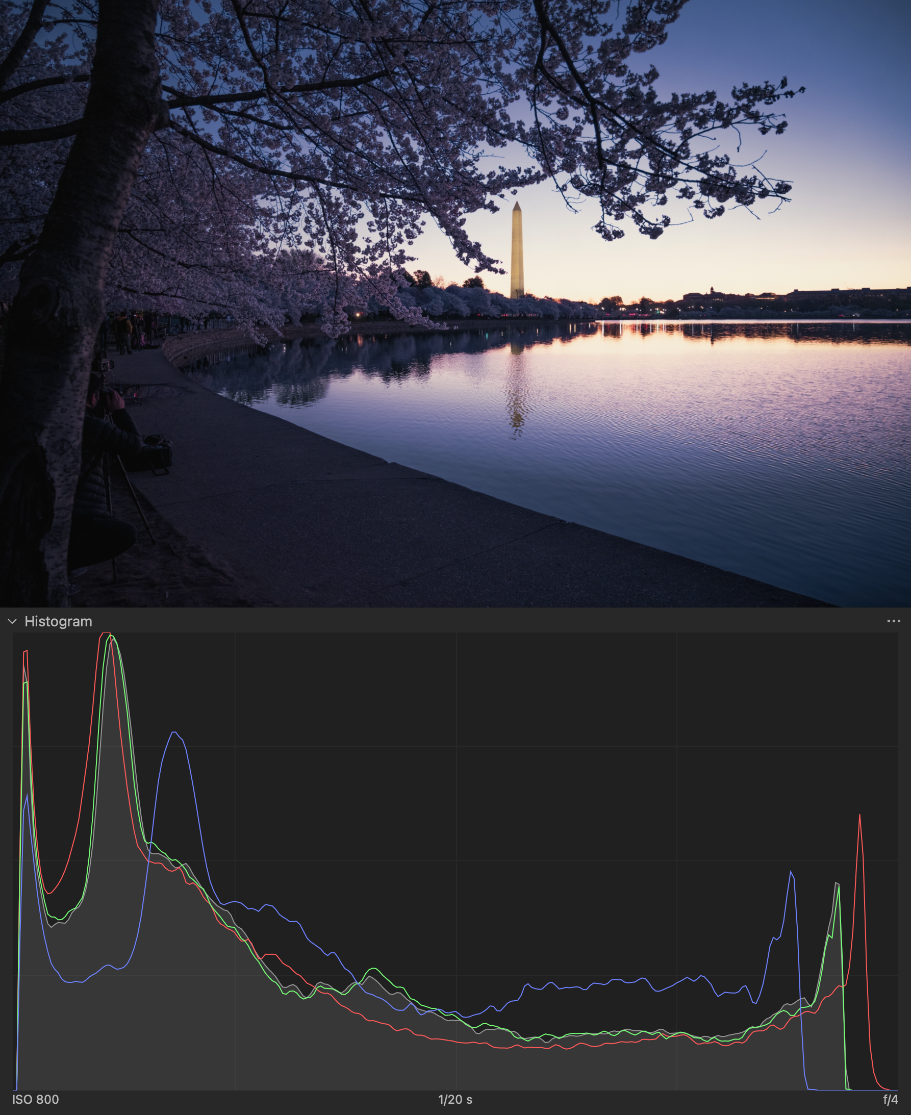 Washington_Histogram.png