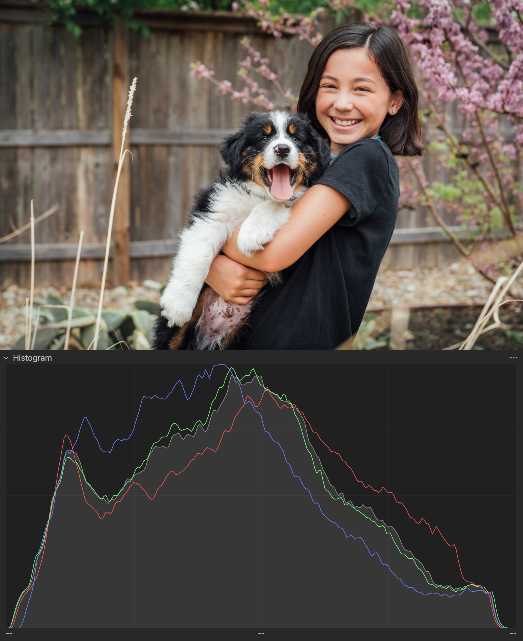 Puppy_Histogram.png